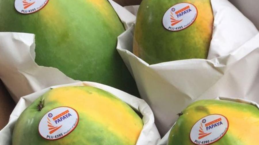 Brote de salmonella es culpa de papayas mexicanas: EU
