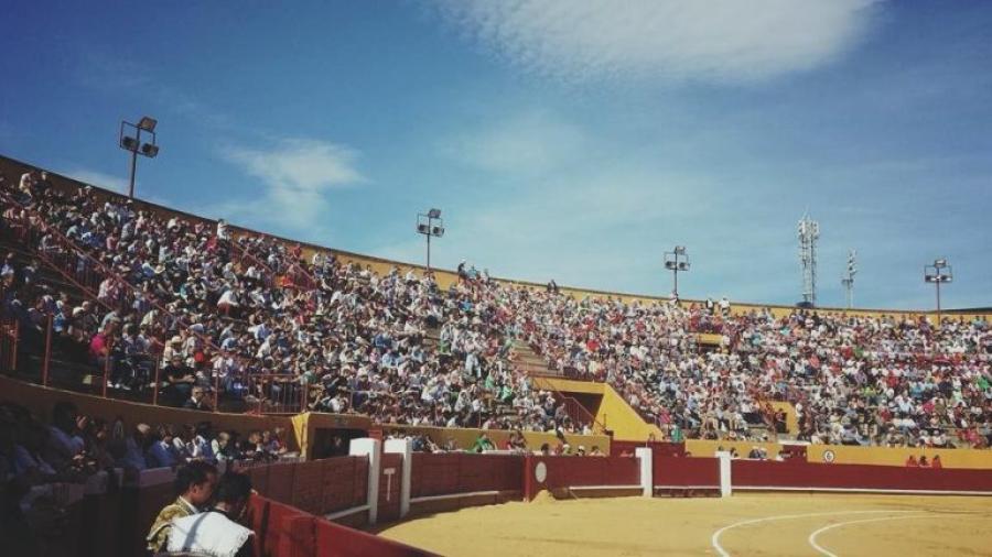 Presentan las corridas de toros de Avila con la “Nueva Normalidad”
