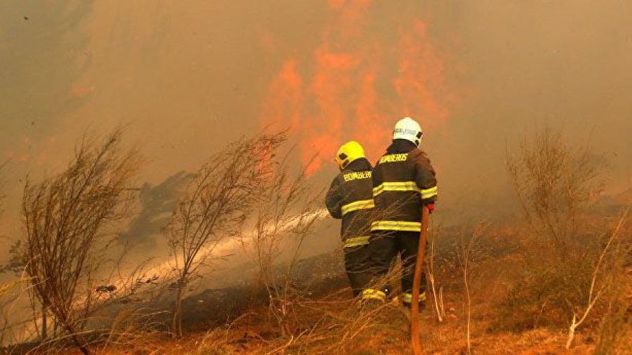 Llegan a Chile brigadistas mexicanos para apoyar en incendio