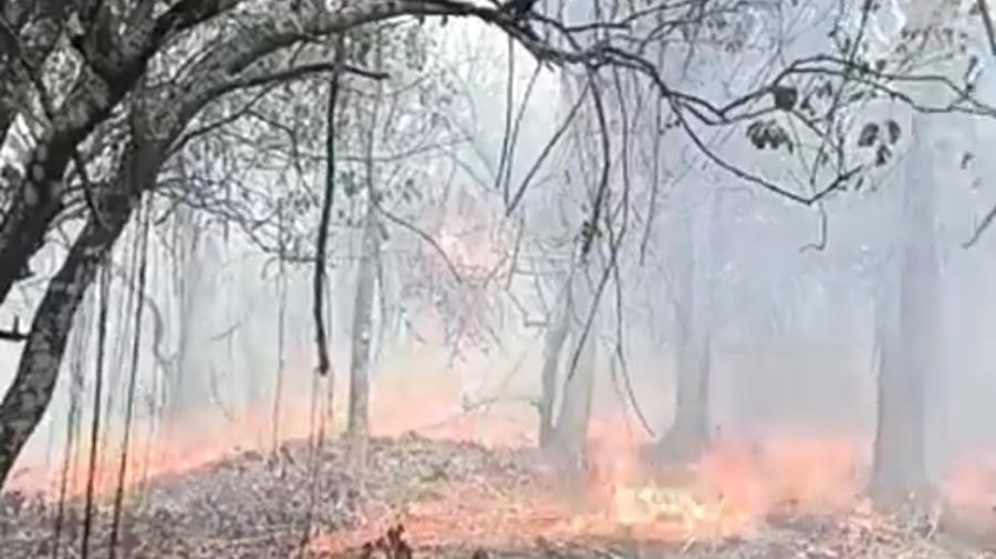 Reportan incendio en biósfera