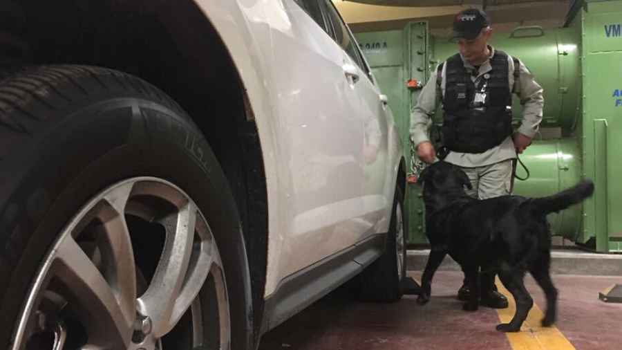 Pemex informa que fue falsa alarma de bomba; reanuda actividades