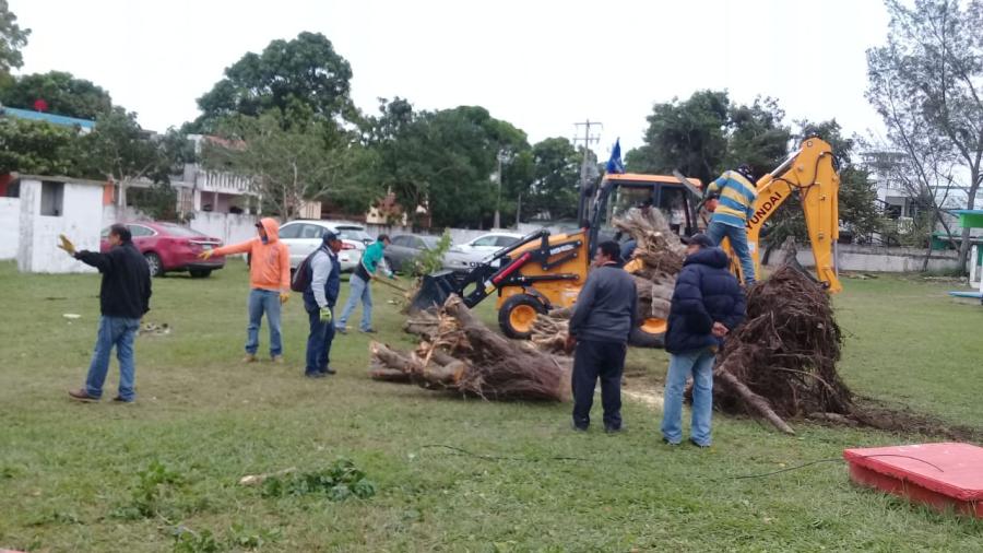 Frente frío no. 10 causa estragos en sur de Tamaulipas