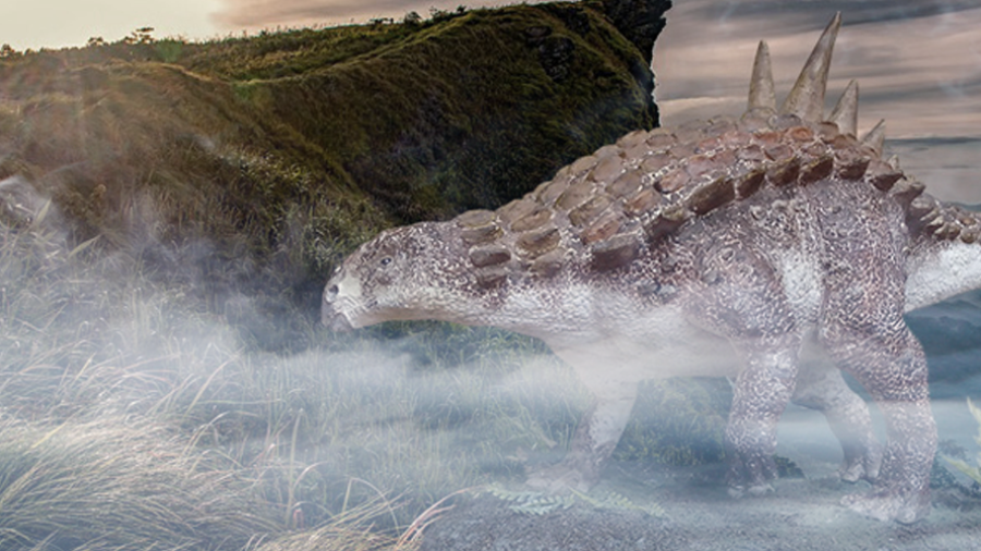 Encuentran fósil de dinosaurio más antiguo en Coahuila