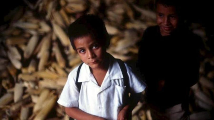 Hambre aumenta en América Latina junto a la obesidad: FAO