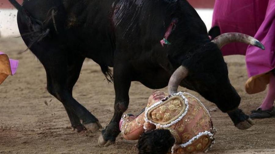 Fallece por cornada el torero español Iván Fandiño