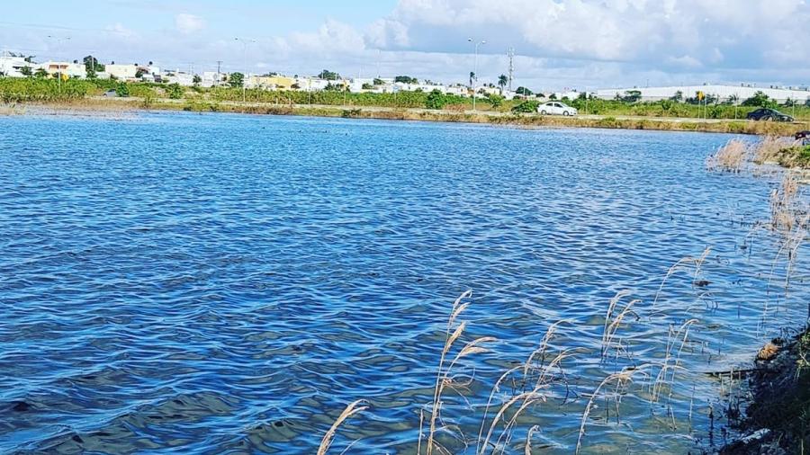 Dejan lagunas naturales el paso de tormentas en Mérida