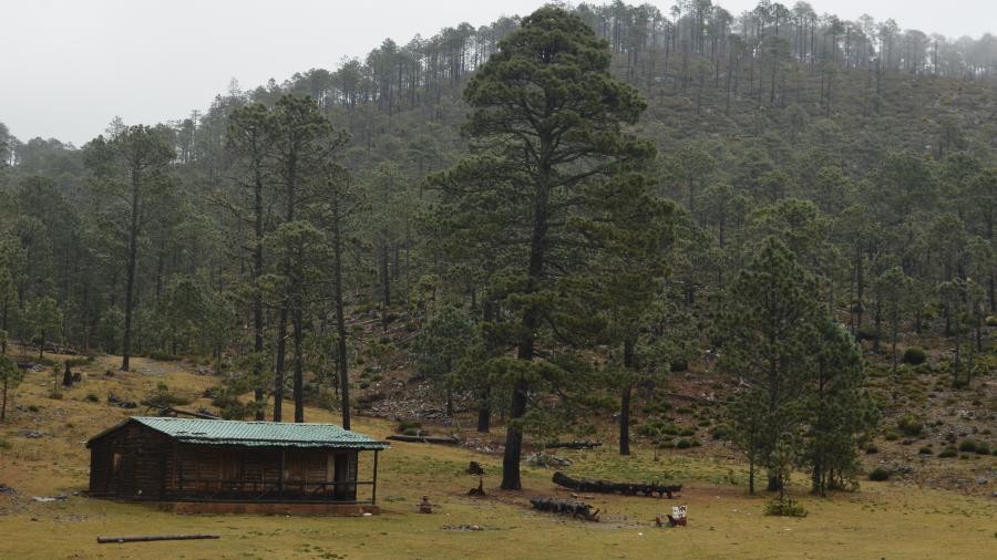 Intensifica Gobierno del Estado cuidado de Áreas Naturales Protegidas (ANPs)