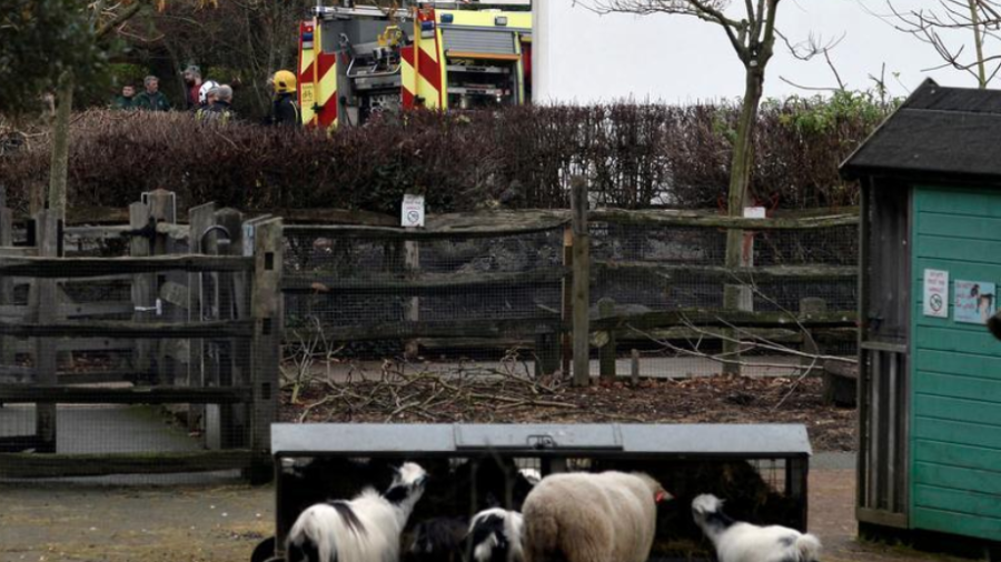 Registran gran incendio en el zoológico de Londres