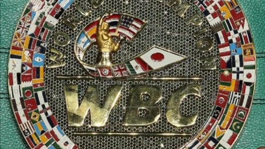 Consejo Mundial de Boxeo resalta apoyo al pugilismo amateur
