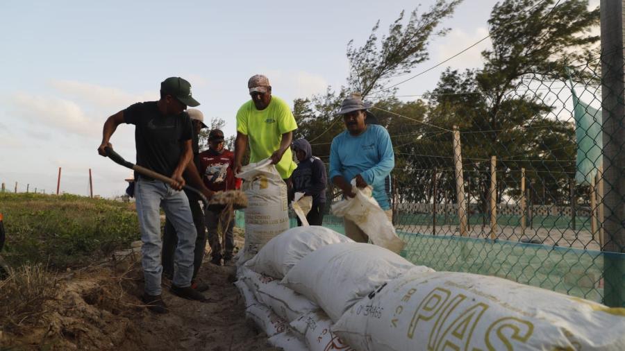 Refuerza Comisión de Parques protección en campos tortugueros de Tamaulipas