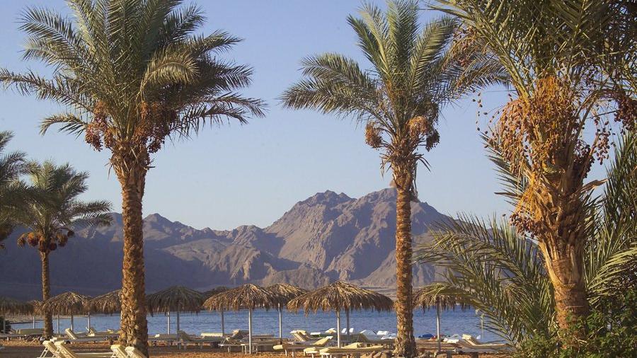 Dos turistas muertos y cuatro heridos tras un ataque en una playa en Egipto