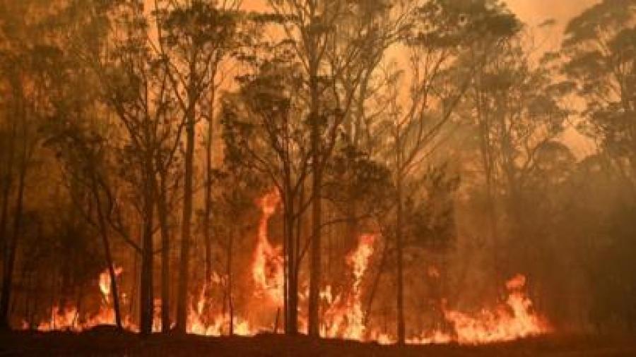 F1 en apoyo por incendios en Australia