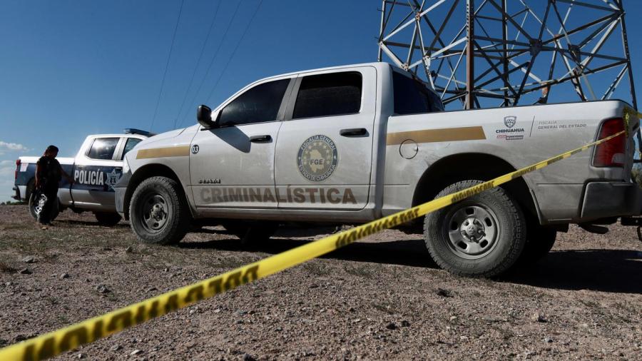 Delitos del fuero federal presentaron una reducción del 26%: SSPC