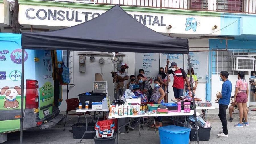 Promueven campaña de esterilización de perros y gatos 