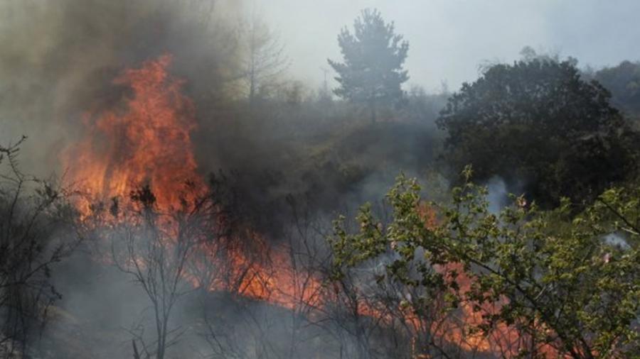Más de 2 mil 500 hectáreas consumidas por incendios en Chile