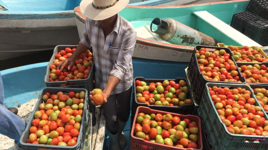 Calor echa a perder frutas y legumbres en mercados municipales