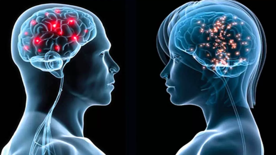 Cerebro de la mujer envejece más lento que el de un hombre