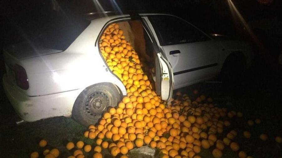 Detienen a cinco personas por robar 4 mil kilos de naranjas