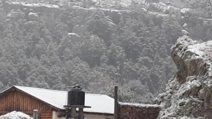 Tras nevadas, cierran carreteras en Chihuahua