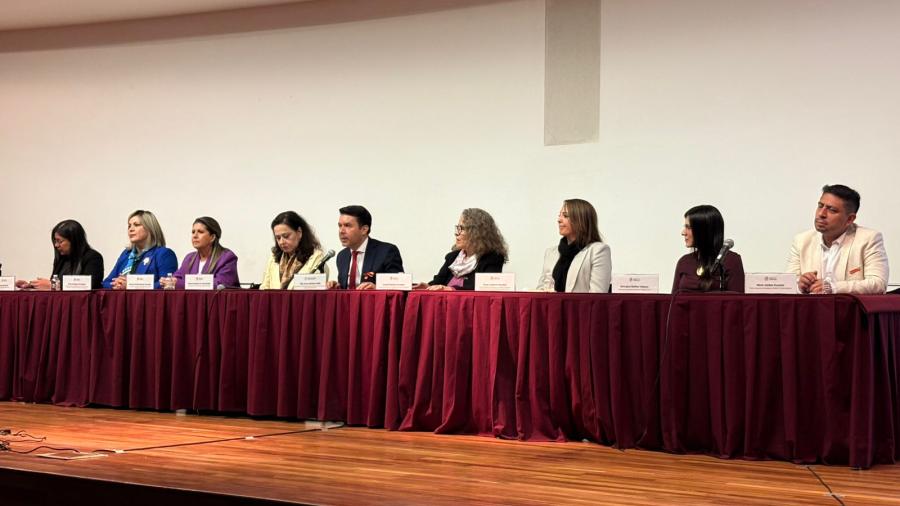 Participa Gobierno Municipal en la Vigésima Séptima Sesión Ordinaria del SIPINNA Nacional