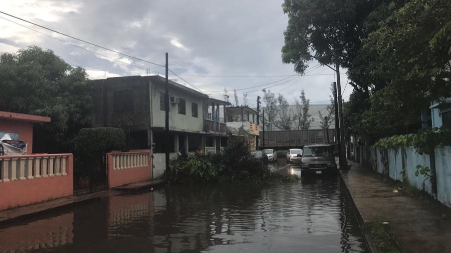 Vientos de huracán Katia derrumban árboles y dejan sin luz a colonias