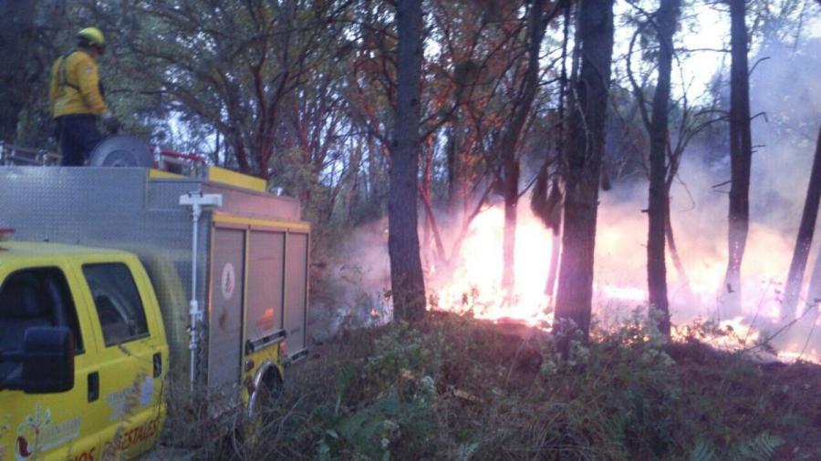 Mantiene Conafor combate contra incendio en Cuernavaca, Morelos