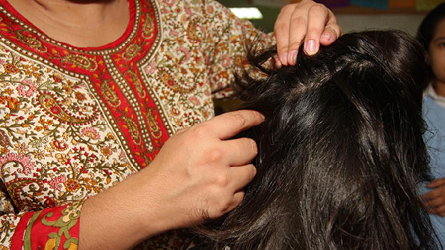 Contagio de piojos al iniciar clases de nivel b&aacute;sico