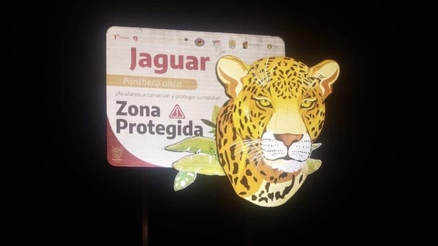 Coloca Comisión de Parques señalética para evitar atropellamientos de fauna