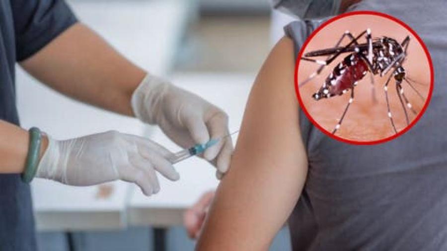 Tras aumento de casos OMS recomienda la primera vacuna contra el dengue