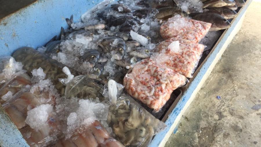 Solicitan mejoras en el mercado de mariscos de Altamira