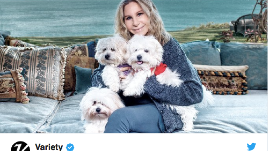 Barbra Streisand clonó dos veces a su perrita