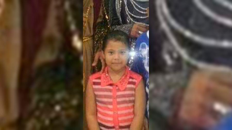 Reportan desaparición de niña de 8 años