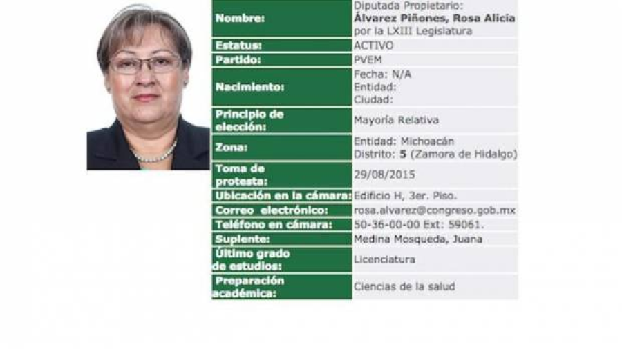 Mamá de “Rafa” Márquez, Diputada del PVEM, no presentó 3de3