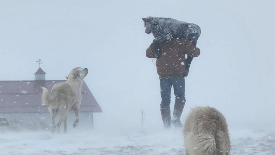 Registran fuerte tormenta invernal en Dakota del Norte, EU