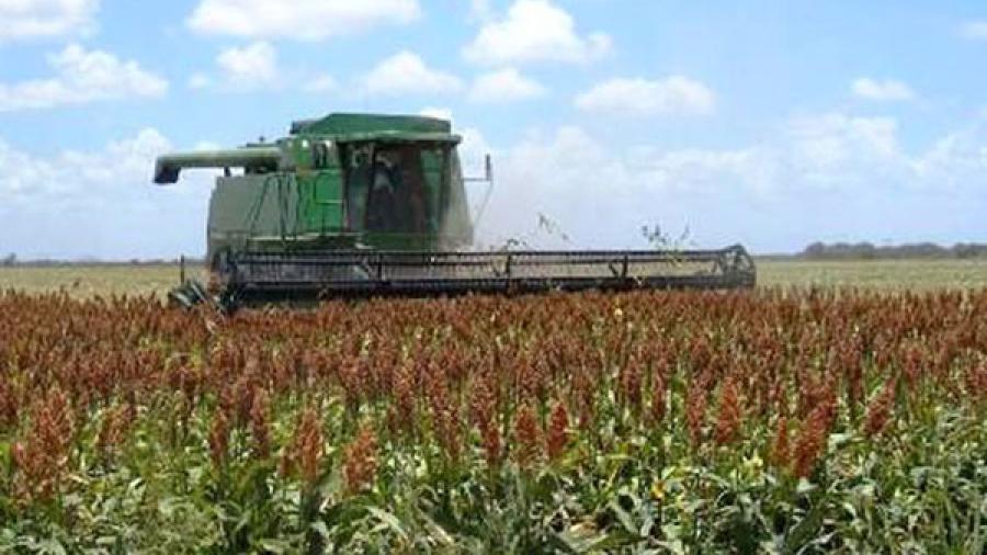 Agronegocios apoyará a productores de la agroindustria