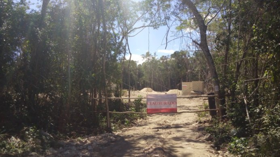 Clausura Profepa obras en terrenos forestales en Tulum, Quintana Roo