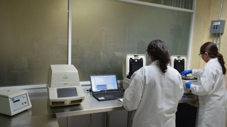 Pandemia de COVID-19 suma 115 nuevos casos en Tamaulipas