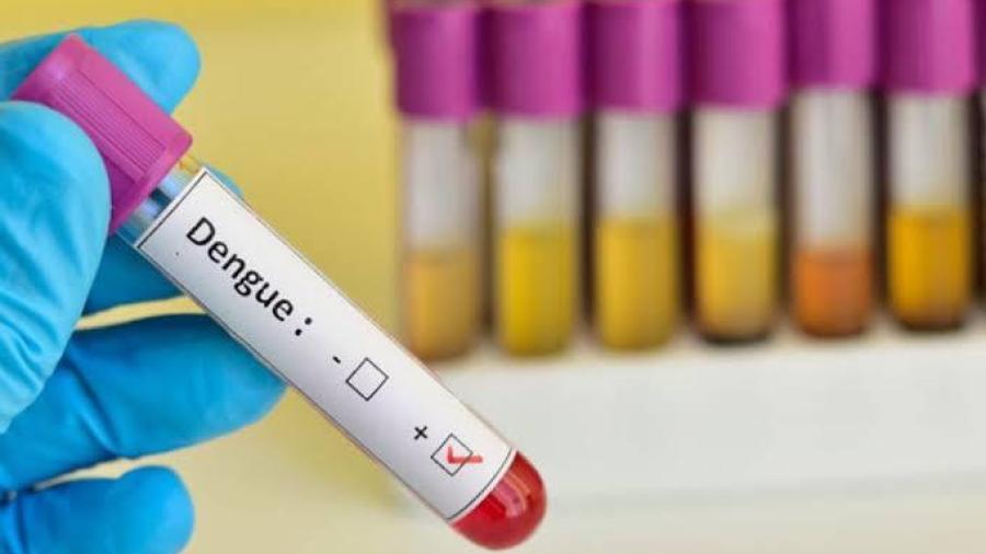 Recomiendan prueba de sangre por dengue