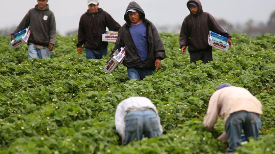 Mexicanos en EU viven ahora con incertidumbre