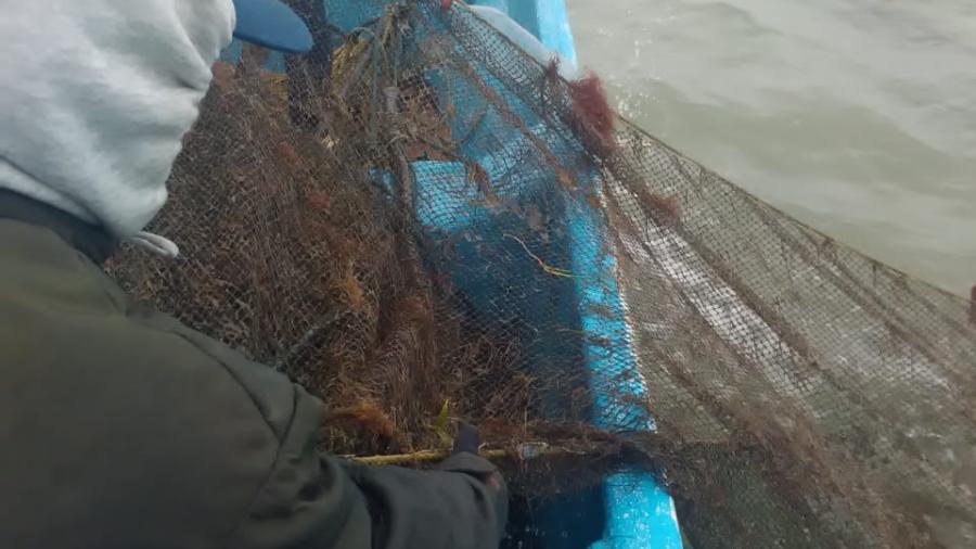 Combate Gobierno de Tamaulipas pesca irregular
