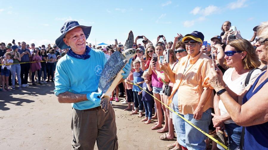 Liberan tortugas en la Isla del Padre