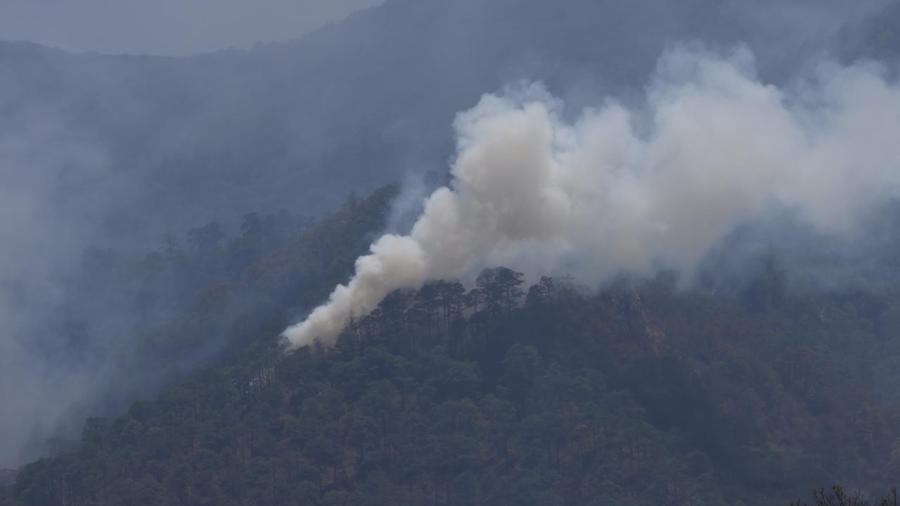 Avanza control del incendio en el Cañón del Novillo