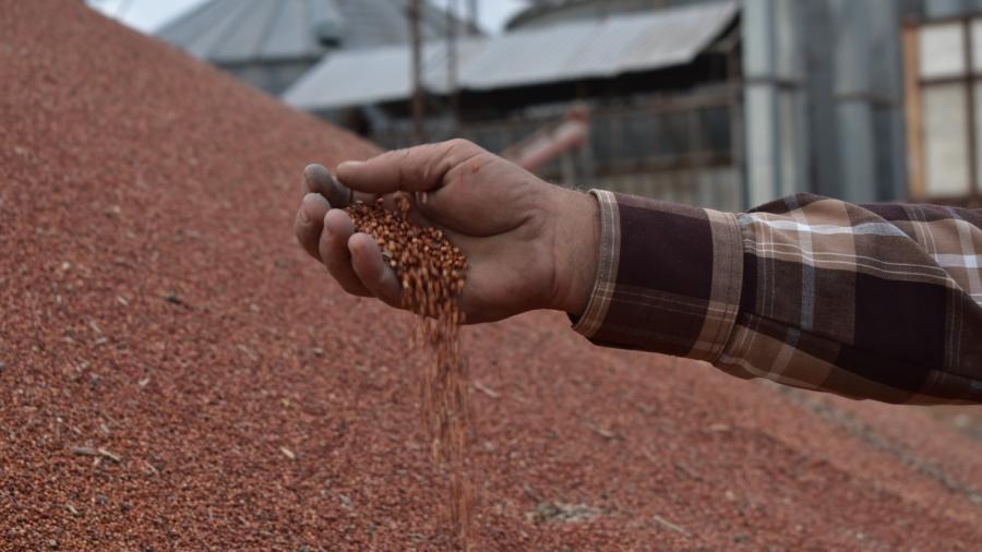 Inicia gobierno de Tamaulipas dispersión de recursos de apoyo del “Programa de Fomento a la Producción Rural 2023”