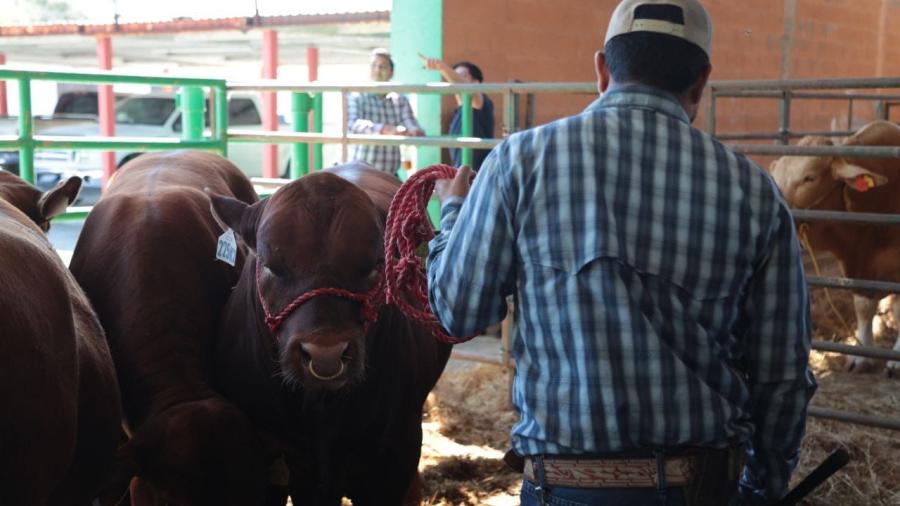 Brinda Gobierno Municipal apoyos a ganaderos locales 