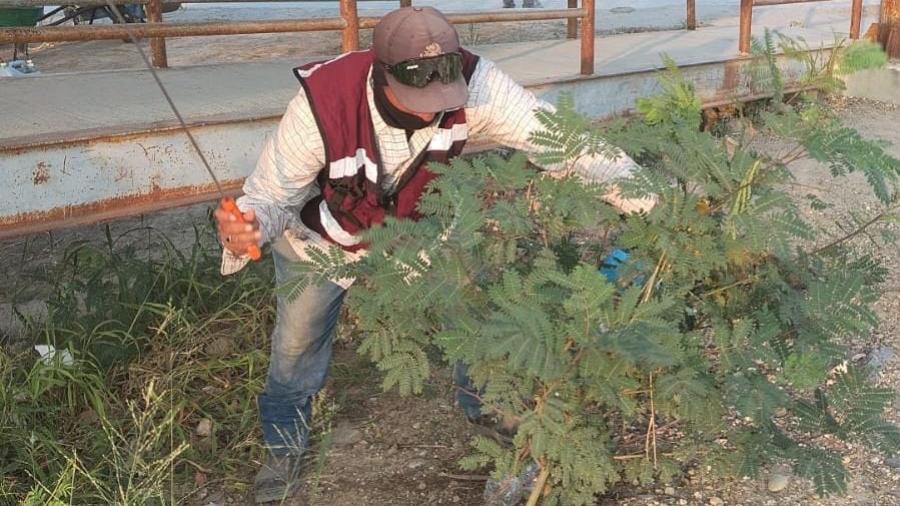 Trabaja Gobierno de Carlos Peña Ortiz en área suburbana