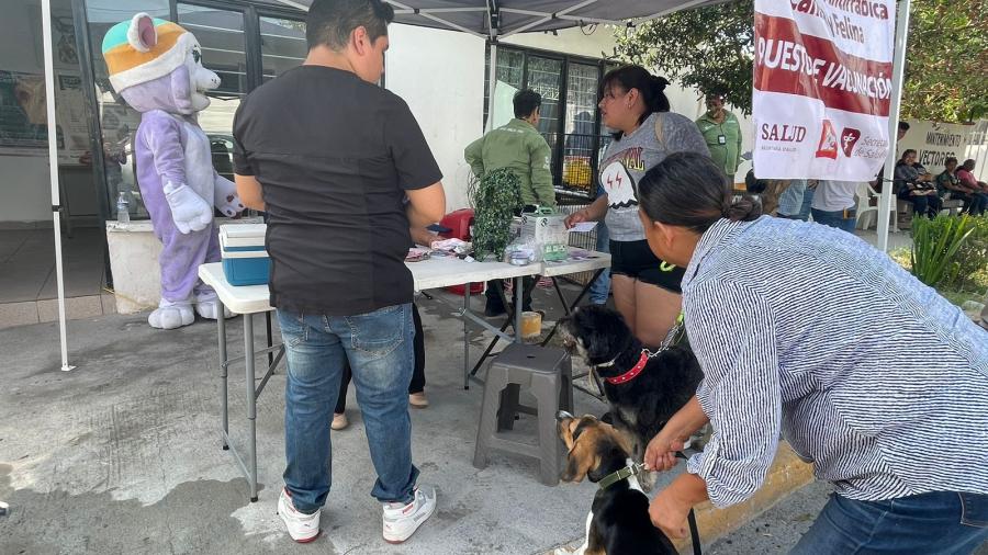 Previenen rabia en mascotas con vacunas