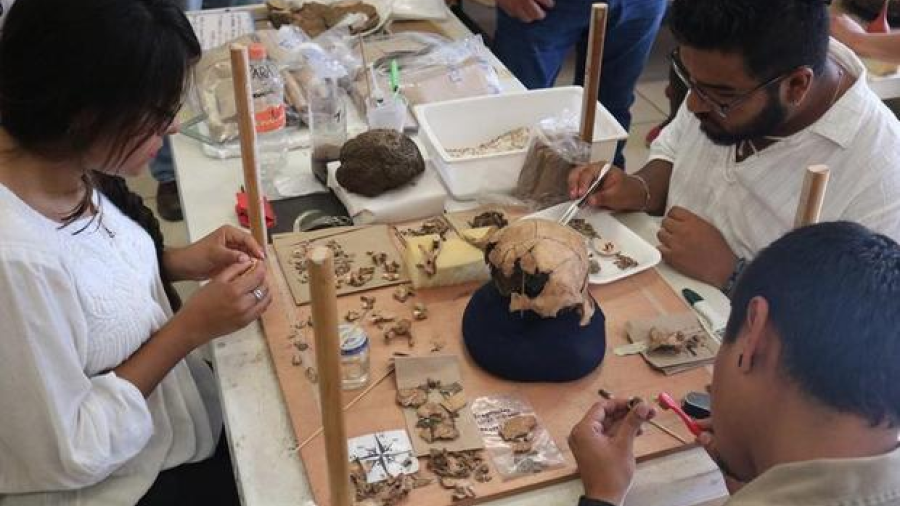 Clasifican y analizan más de 5 mil piezas prehispánicas encontradas en Altamira