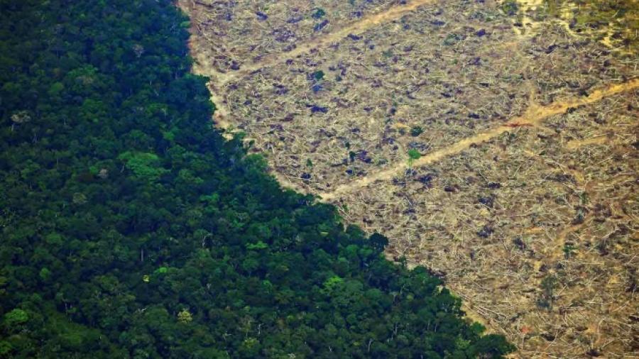 Temporada de quemas amenaza la Amazonia