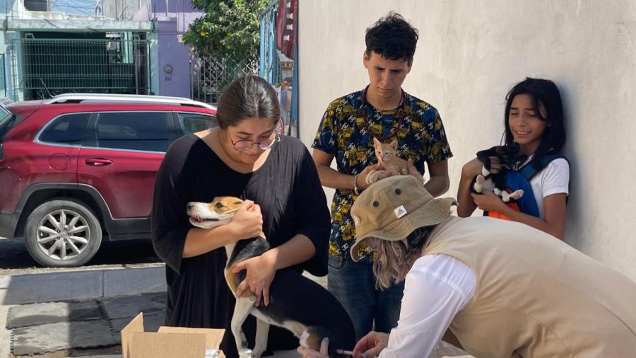 Aplicaran 10 mil vacunas contra la rabia a perros y gatos