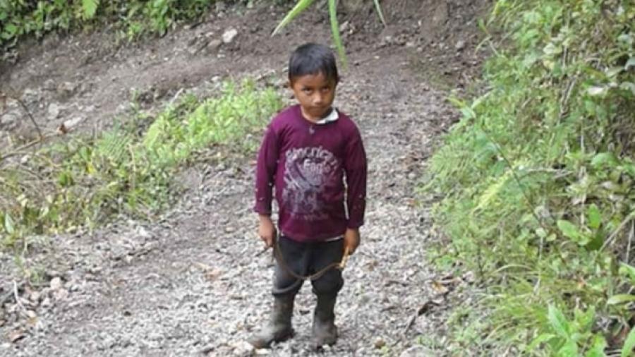 Influenza virus B, posible causa de muerte del niño migrante